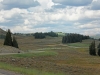22-ride-for-the-arts-strung-out-on-the-back-roads